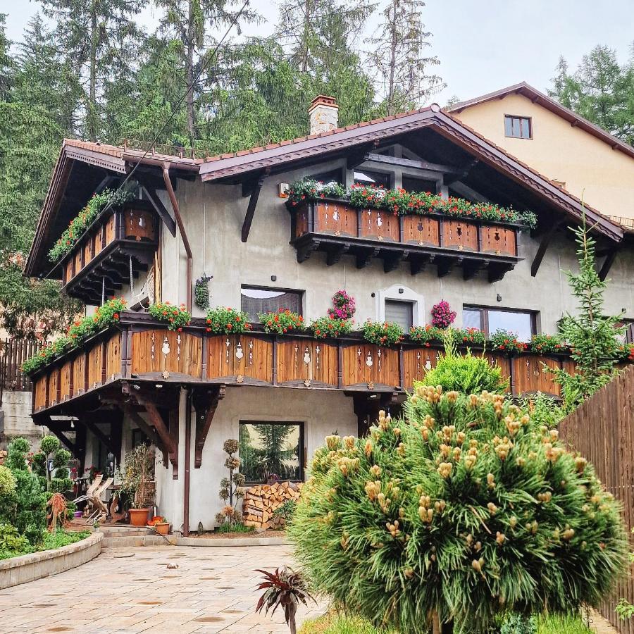 Amor Tirol Busteni (Adults Only) Екстериор снимка