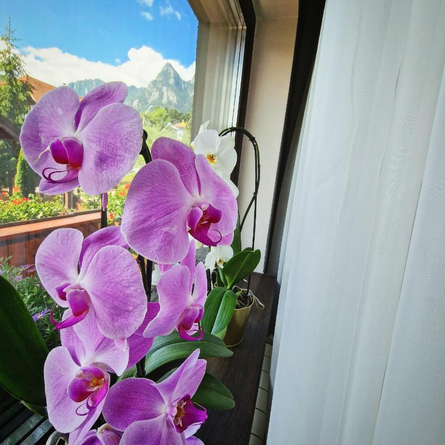 Amor Tirol Busteni (Adults Only) Екстериор снимка