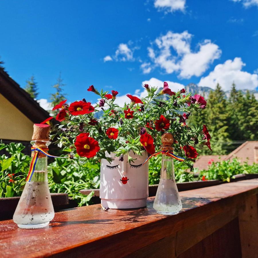 Amor Tirol Busteni (Adults Only) Екстериор снимка
