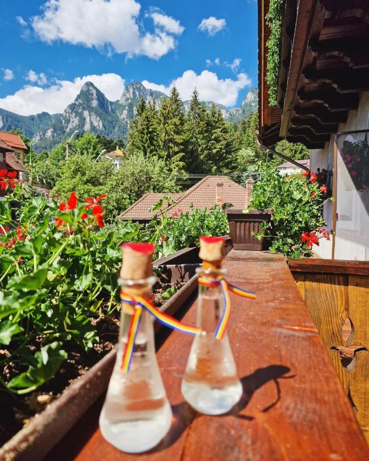Amor Tirol Busteni (Adults Only) Екстериор снимка