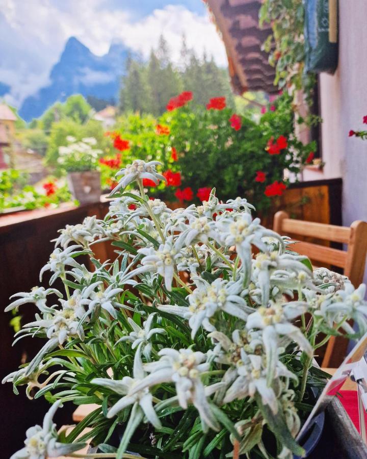 Amor Tirol Busteni (Adults Only) Екстериор снимка