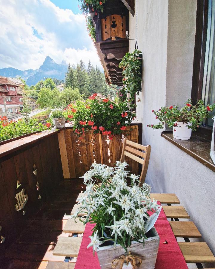 Amor Tirol Busteni (Adults Only) Екстериор снимка
