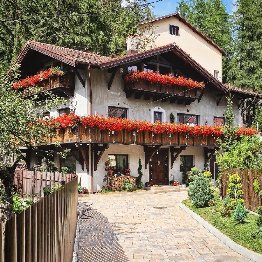 Amor Tirol Busteni (Adults Only) Екстериор снимка