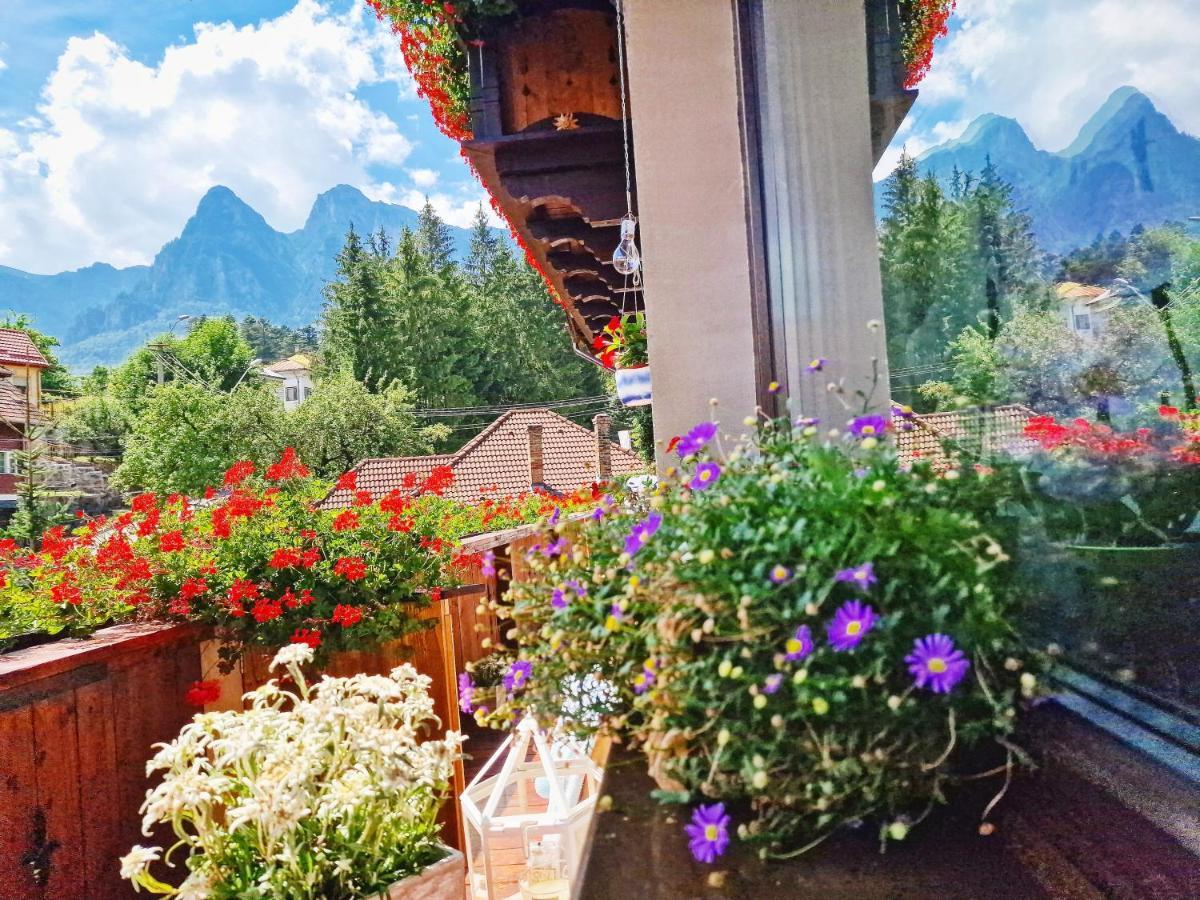 Amor Tirol Busteni (Adults Only) Екстериор снимка