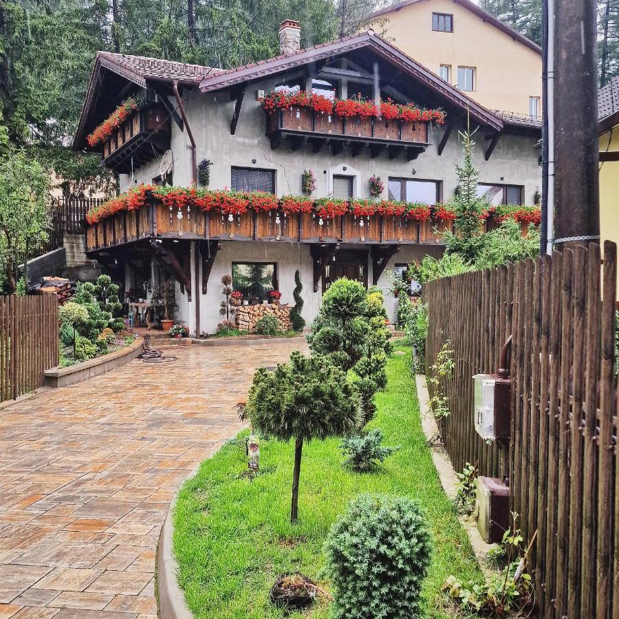 Amor Tirol Busteni (Adults Only) Екстериор снимка