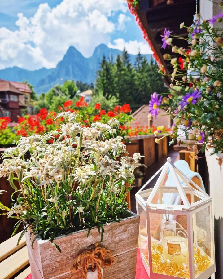 Amor Tirol Busteni (Adults Only) Екстериор снимка