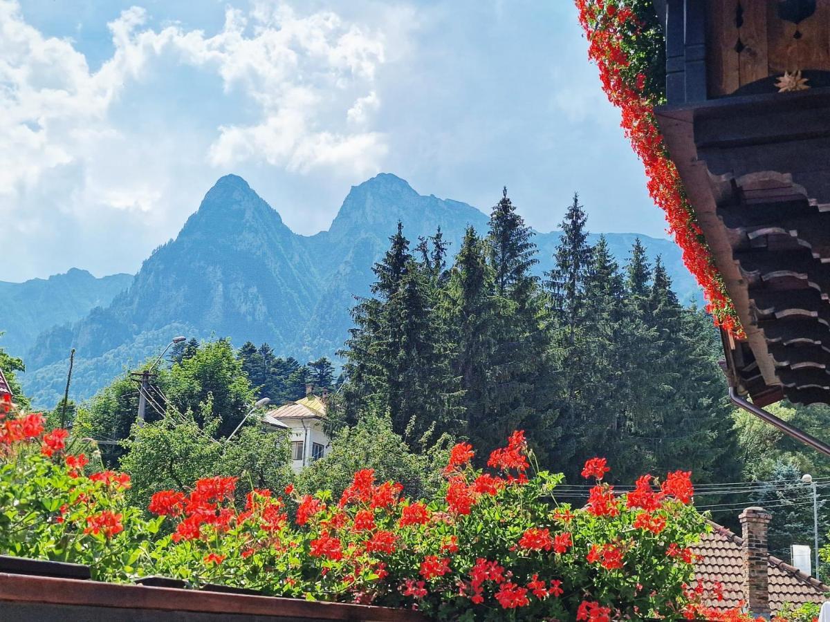 Amor Tirol Busteni (Adults Only) Екстериор снимка