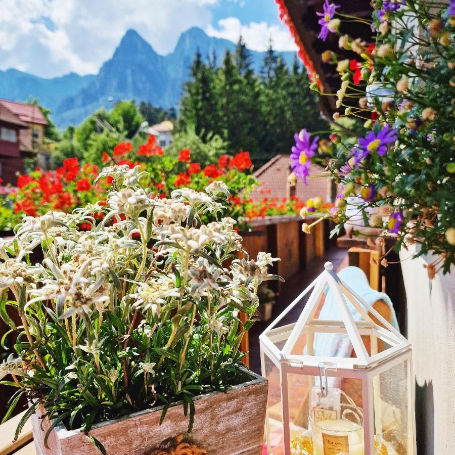 Amor Tirol Busteni (Adults Only) Екстериор снимка