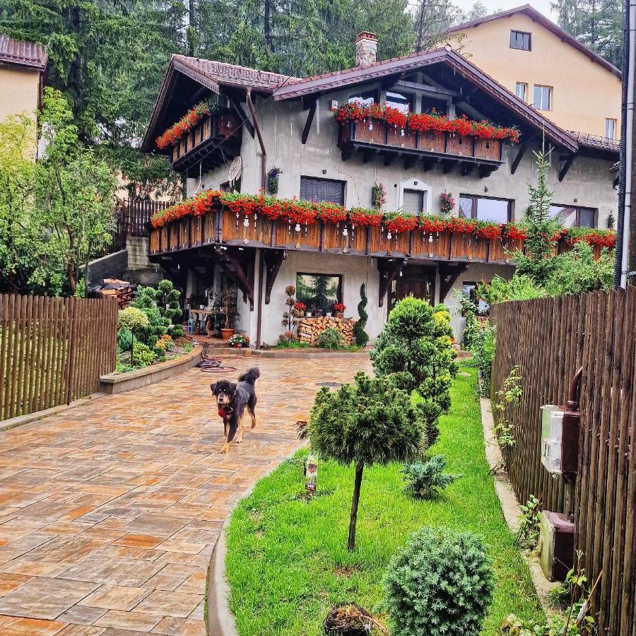 Amor Tirol Busteni (Adults Only) Екстериор снимка