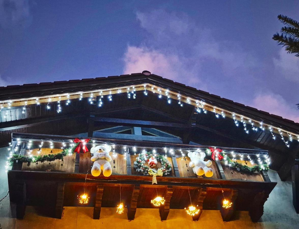 Amor Tirol Busteni (Adults Only) Екстериор снимка